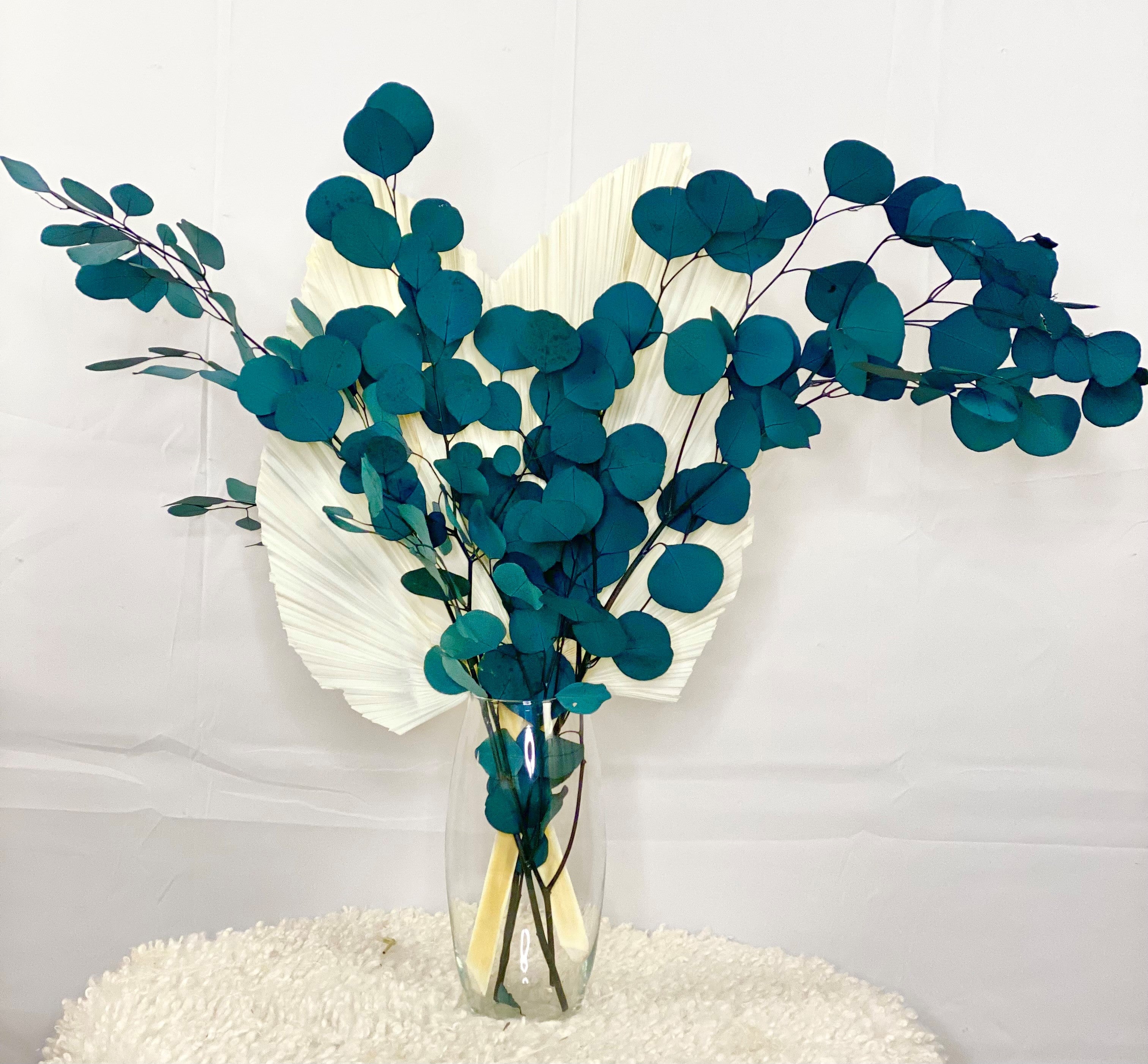 Silver Dollar Eucalyptus